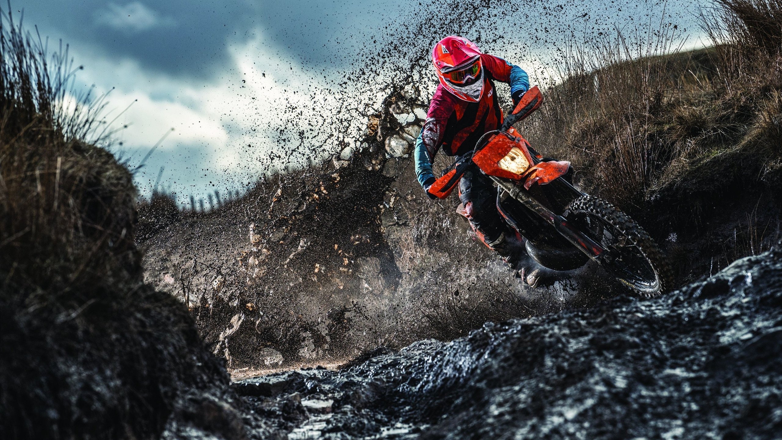 中国女篮的坚韧让全世界动容,中国女篮真棒