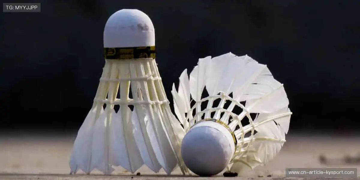 🎯 独家周边，把热爱穿在身上，刻进生活！✨