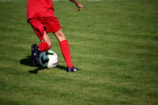 开云集团中国官网-篮球运动员心理素质测评体系构建，篮球运动员心理素质的重要性